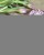 IMG_5520.jpeg